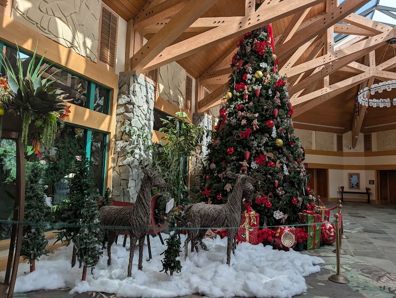 Photo 5 at Shades of Green in Lake Buena Vista