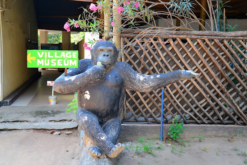 Photo 2 at Village Museum in Dar es Salaam