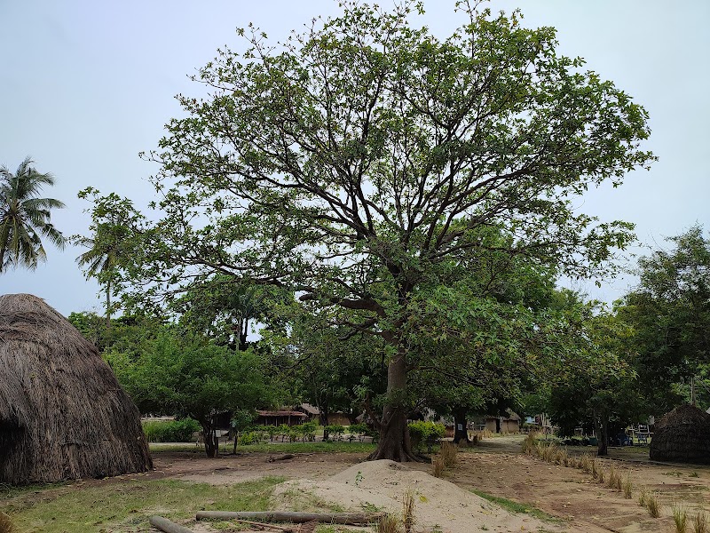 Photo 6 at Village Museum in Dar es Salaam