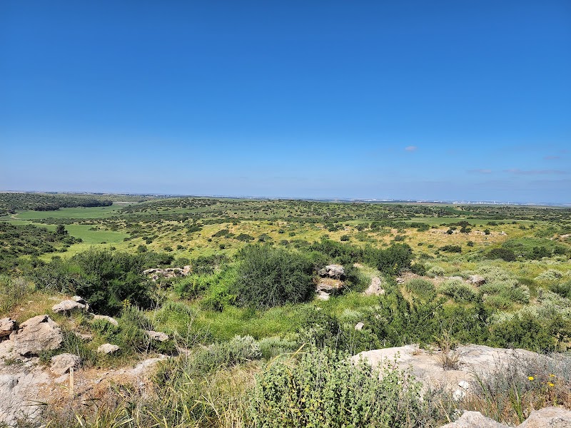 Photo 5 at Beit Guvrin-Maresha National Park in 