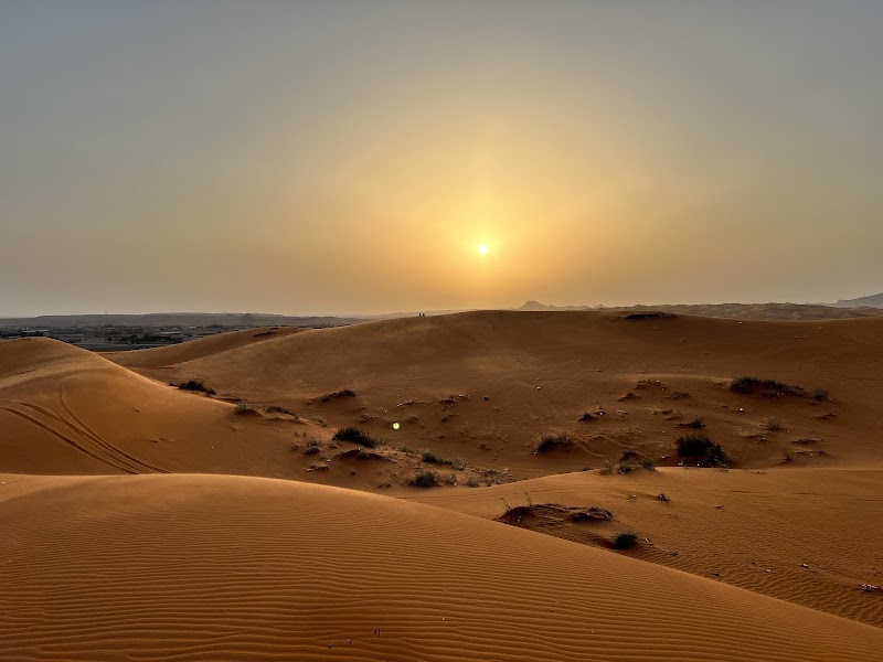 Desert Safari Riyadh Red Sand Dunes in Riyadh