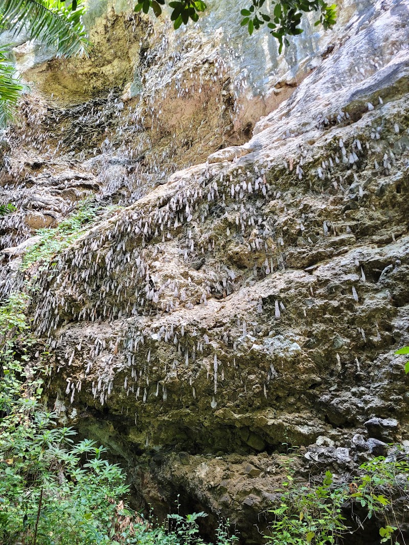 Photo 6 at El Cubano Natural Park in Santa Clara