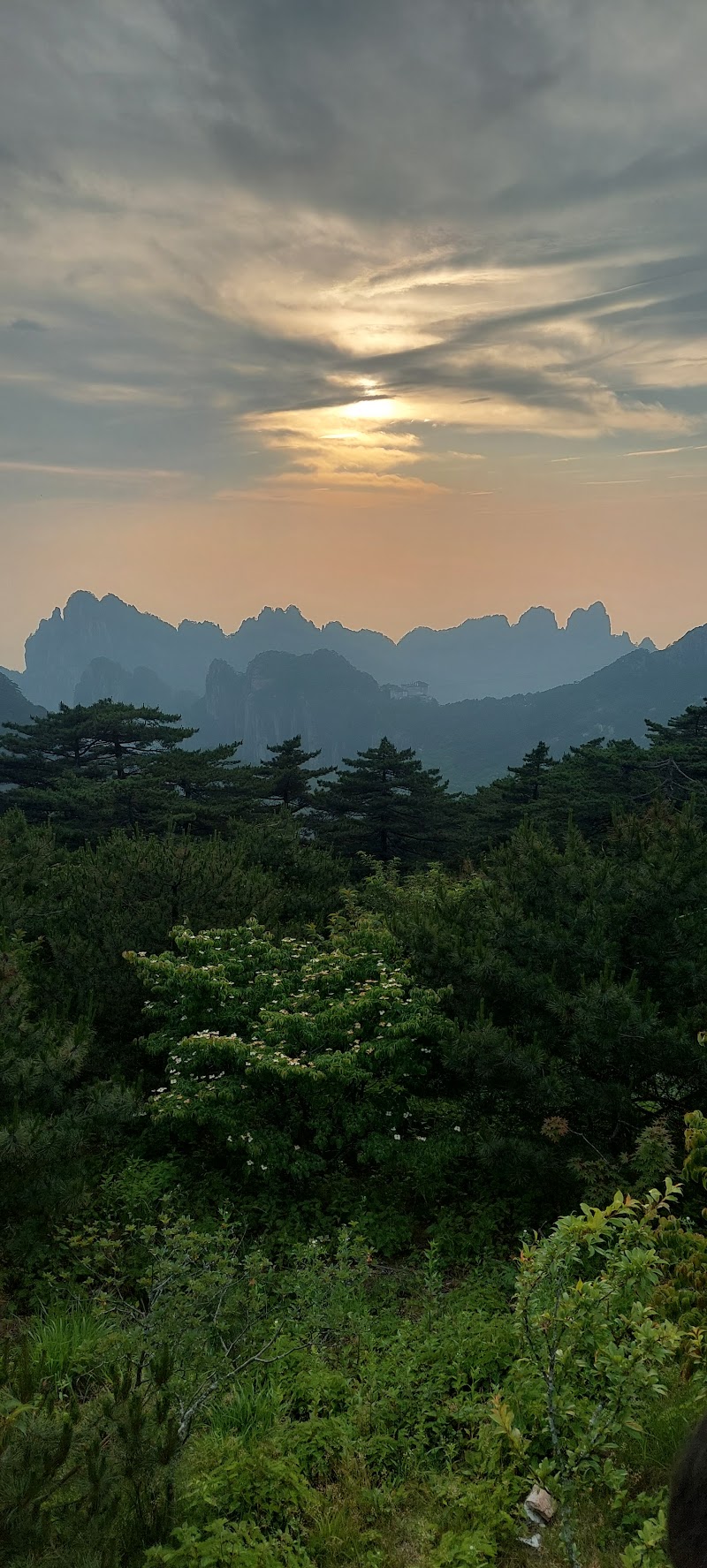 Photo 3 at Huangshan Scenic Area in Huang Shan Shi
