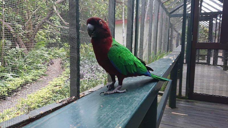 Photo 5 at Kula WILD Adventure Park in Korotogo