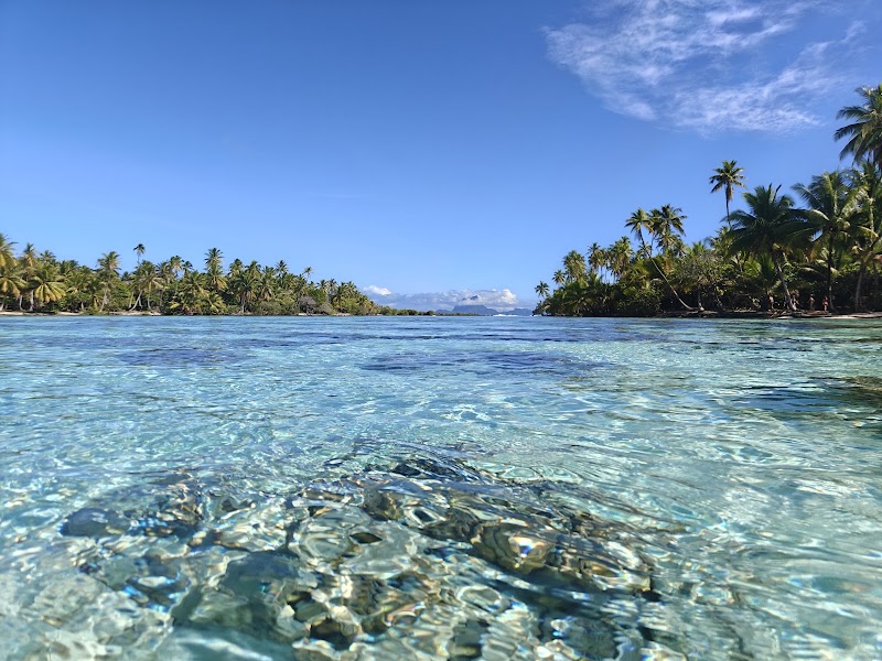 Photo 4 at Coral garden in Taha'a