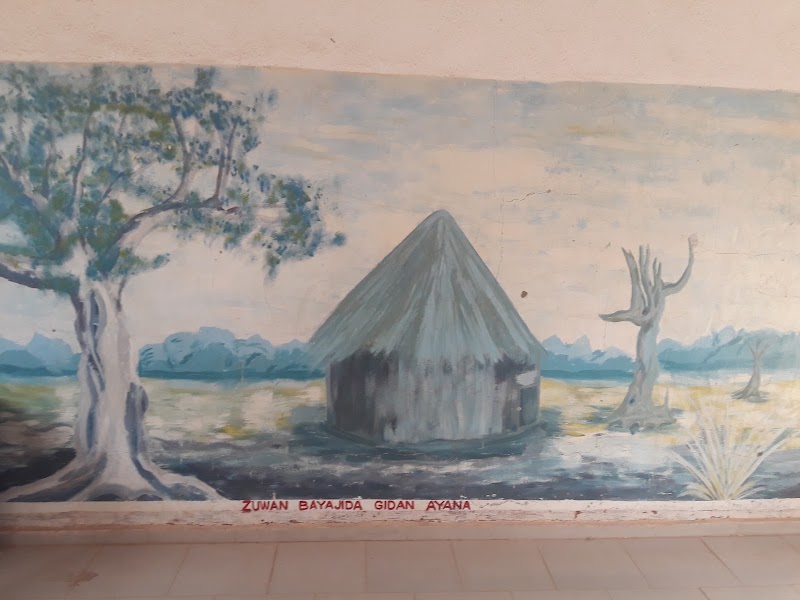 Photo 1 at Kusugu Well in Daura