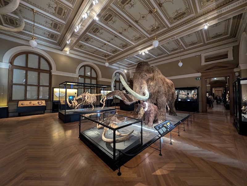 Photo 4 at National Museum in Praha 1