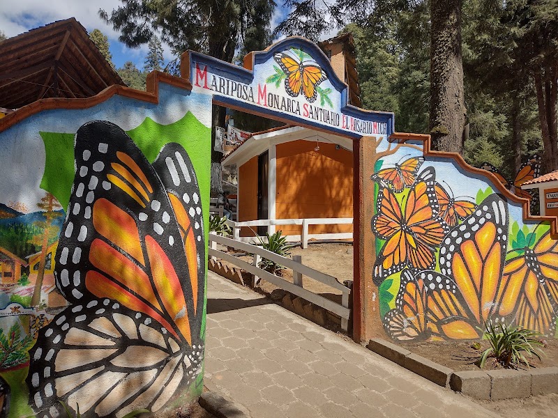 Photo 6 at Mariposa Monarca in 