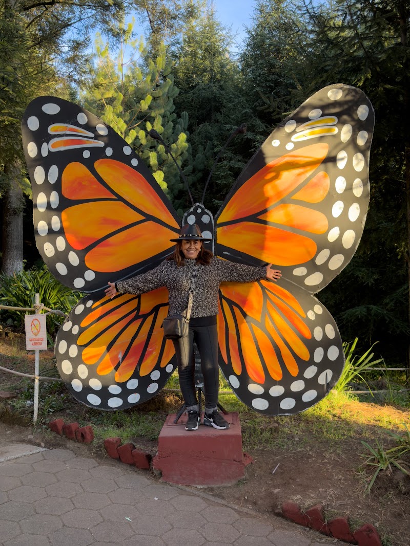 Photo 4 at Mariposa Monarca in 