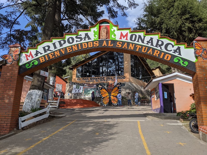 Photo 2 at Mariposa Monarca in 