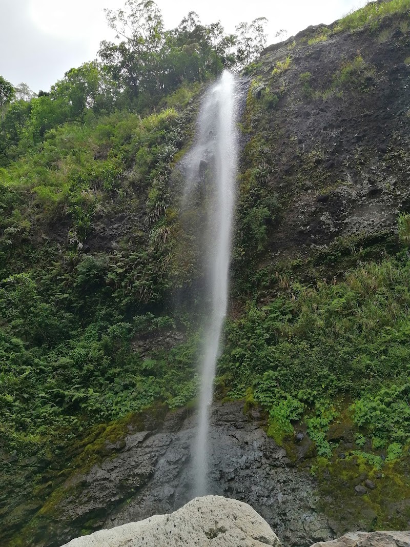 Photo 1 at Koroyanitu National Park in 