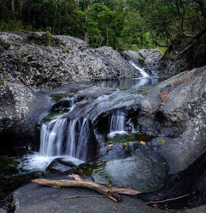 Photo 2 at Koroyanitu National Park in 