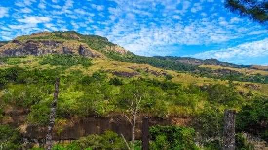 Photo 3 at Koroyanitu National Park in 