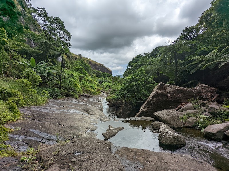 Photo 4 at Koroyanitu National Park in 