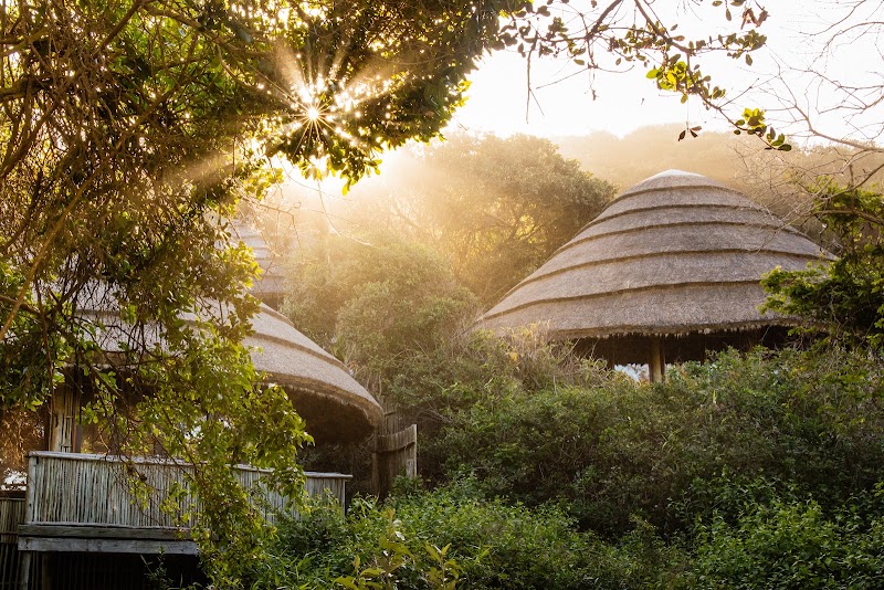 Photo 4 at Thonga Beach Lodge in Manzengwenya