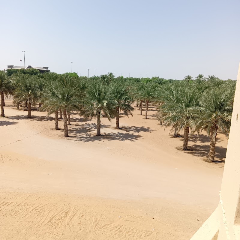 Photo 6 at Qasr Al Muwaiji - قصر المويجعي in Al Ain