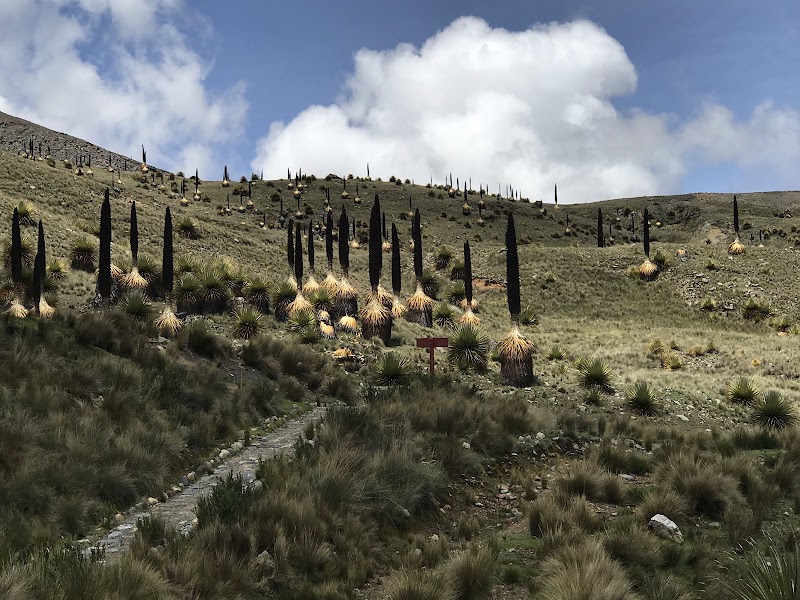 Photo 4 at Parque Nacional Huascarán in 