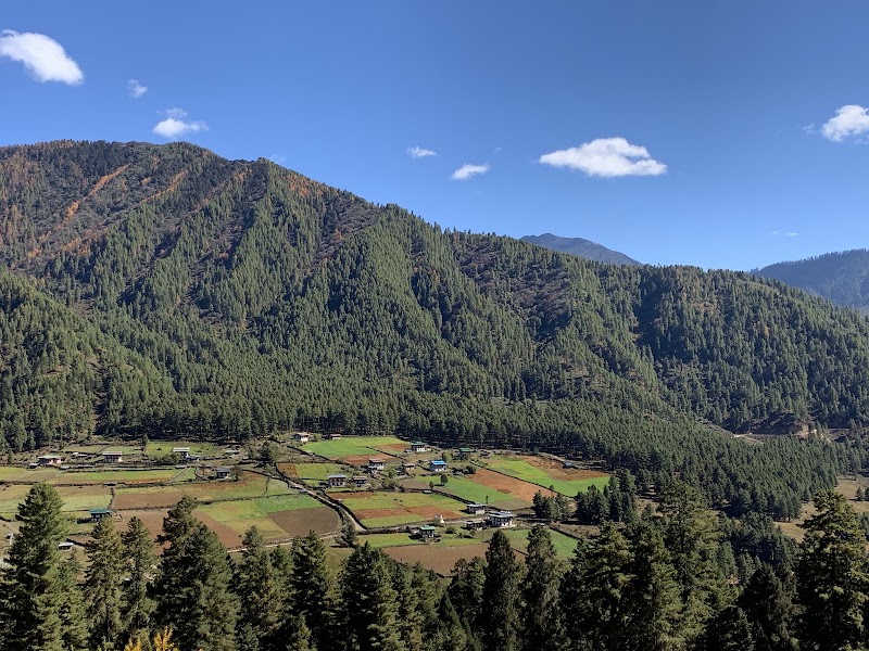Photo 3 at Gangtey Monastery in Nubding