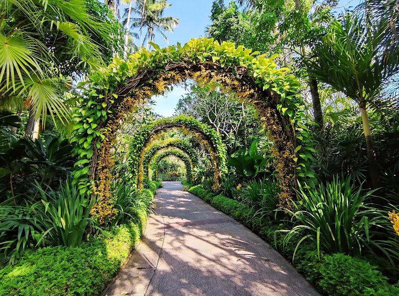 Photo 1 at Singapore Botanic Gardens in Singapore