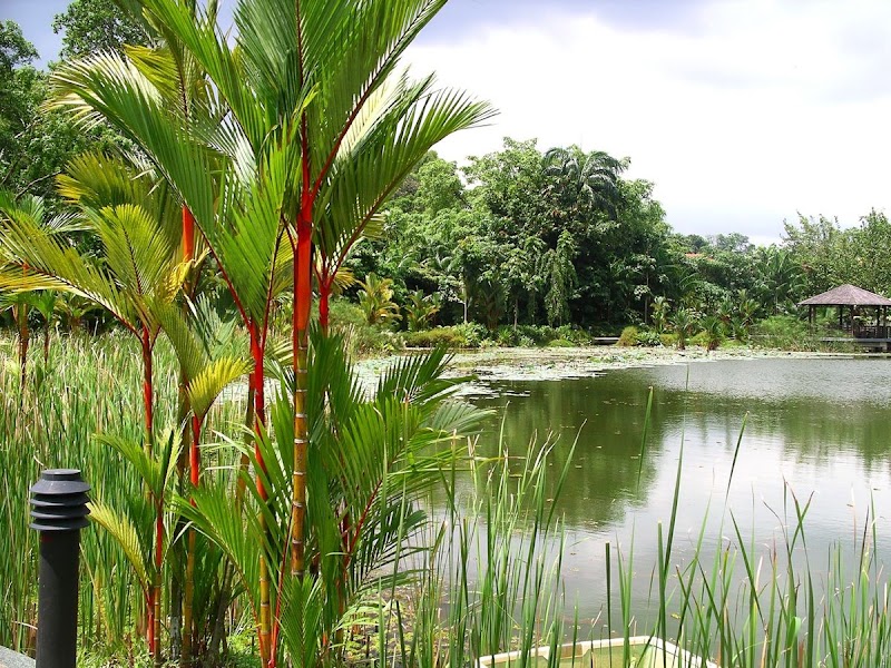 Photo 3 at Singapore Botanic Gardens in Singapore