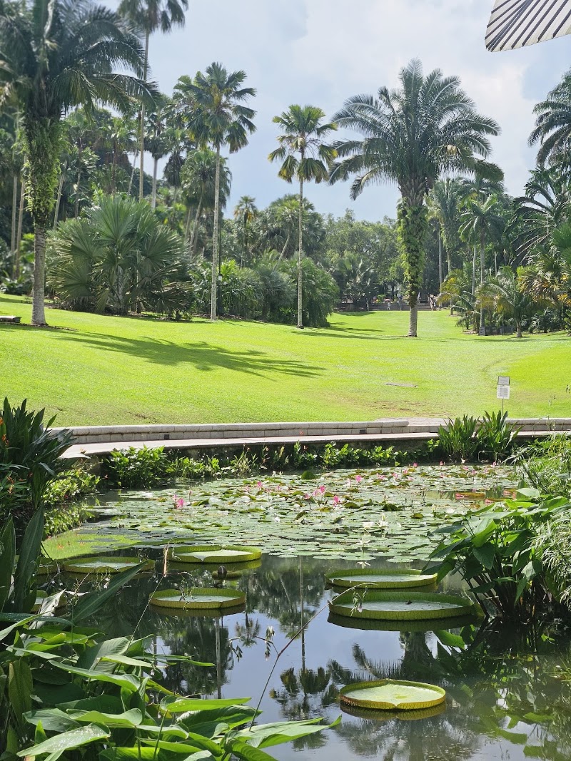 Photo 6 at Singapore Botanic Gardens in Singapore