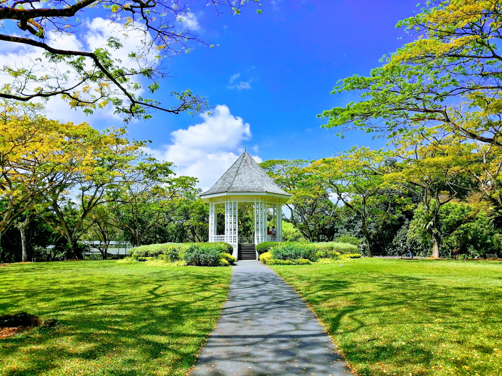 Singapore Botanic Gardens in Singapore