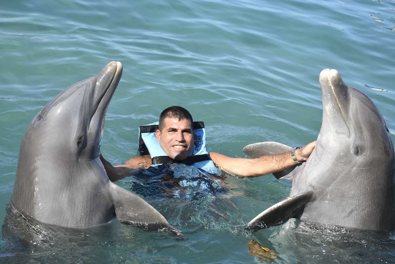 Photo 3 at Dolphin Cove Ocho Rios in Ocho Rios