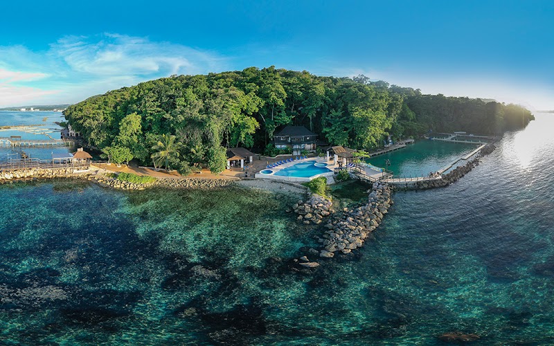 Photo 6 at Dolphin Cove Ocho Rios in Ocho Rios