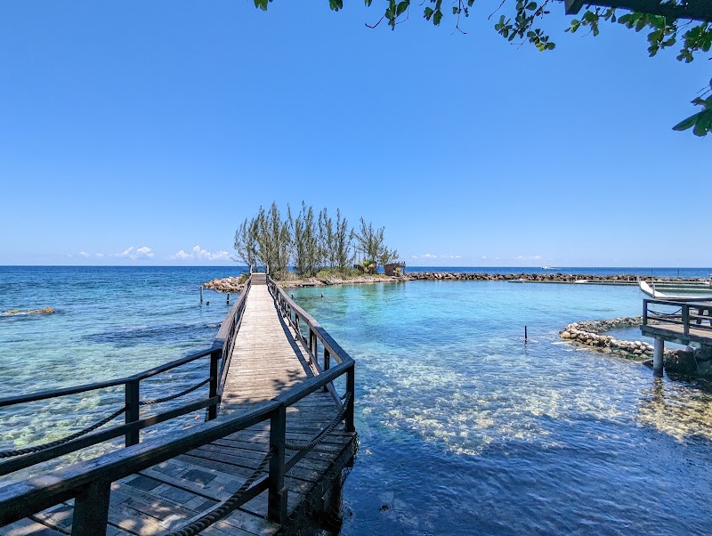 Photo 4 at Dolphin Cove Ocho Rios in Ocho Rios