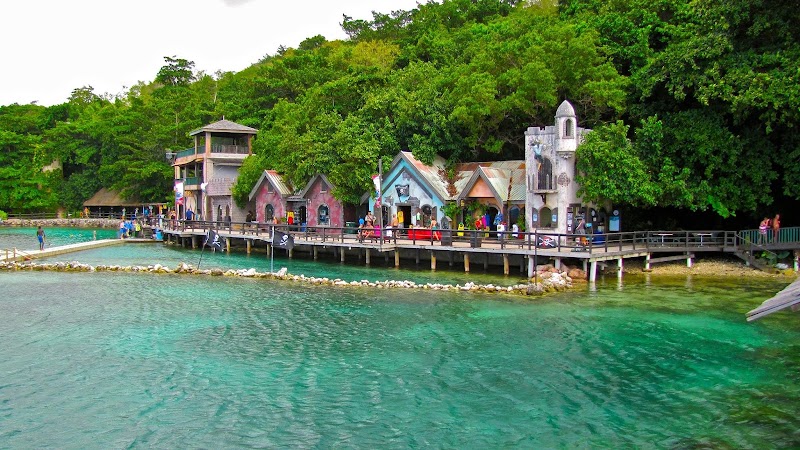 Dolphin Cove Ocho Rios in Ocho Rios