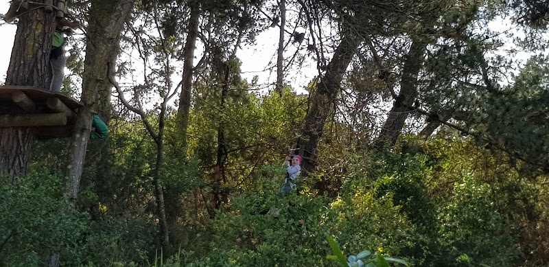 Photo 3 at Acrobranch Garden Route in George