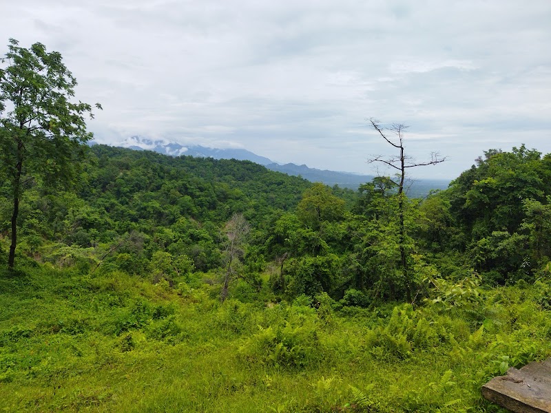 Photo 3 at Manas National Park in 