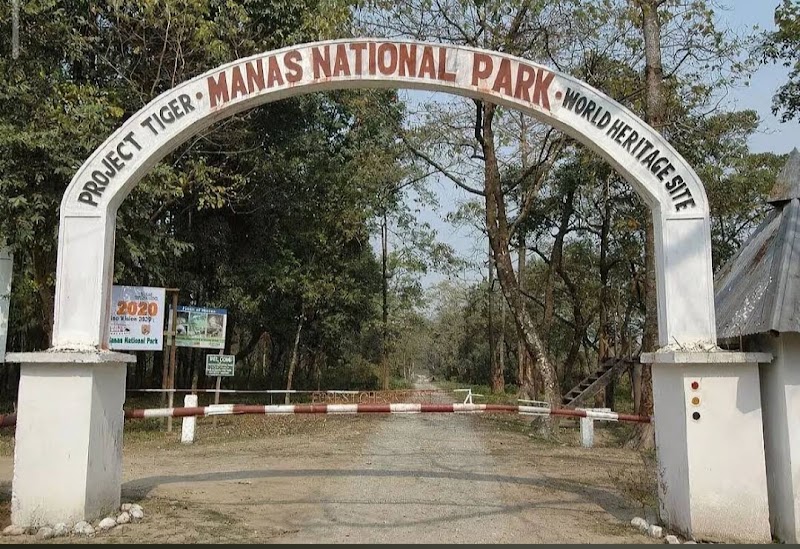 Manas National Park in 