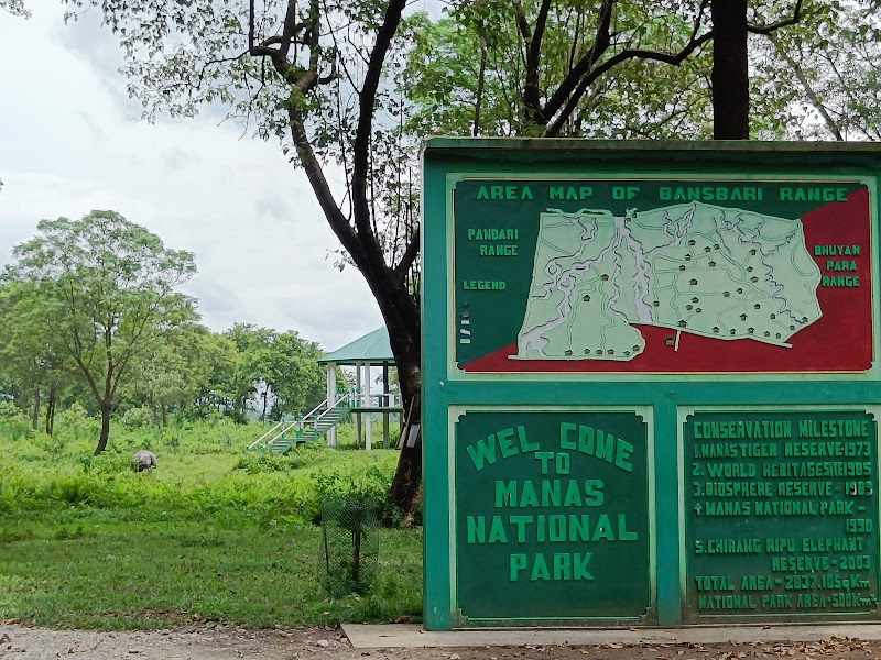 Photo 6 at Manas National Park in 