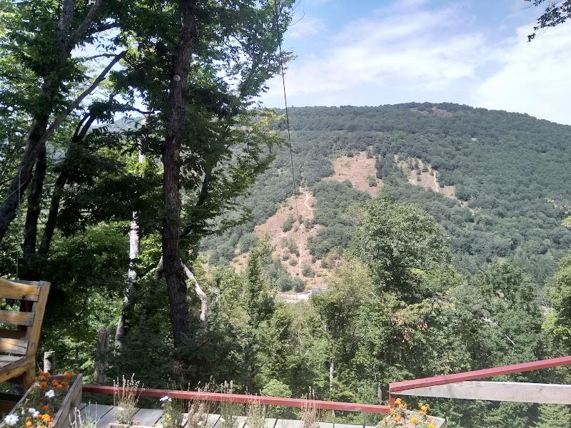 Photo 4 at Zip Line Tsaghkadzor in Tsaghkadzor