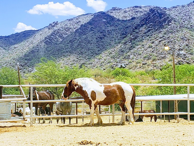 Photo 3 at Scorpion Gulch in Phoenix