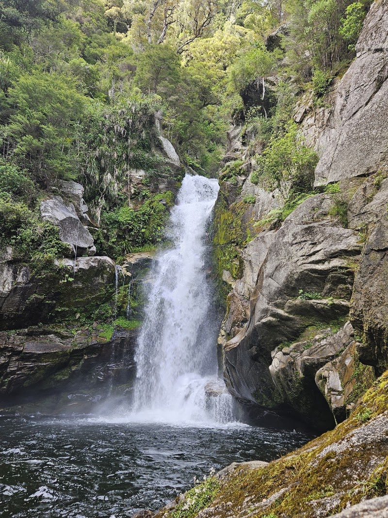 Photo 6 at Abel Tasman National Park in 