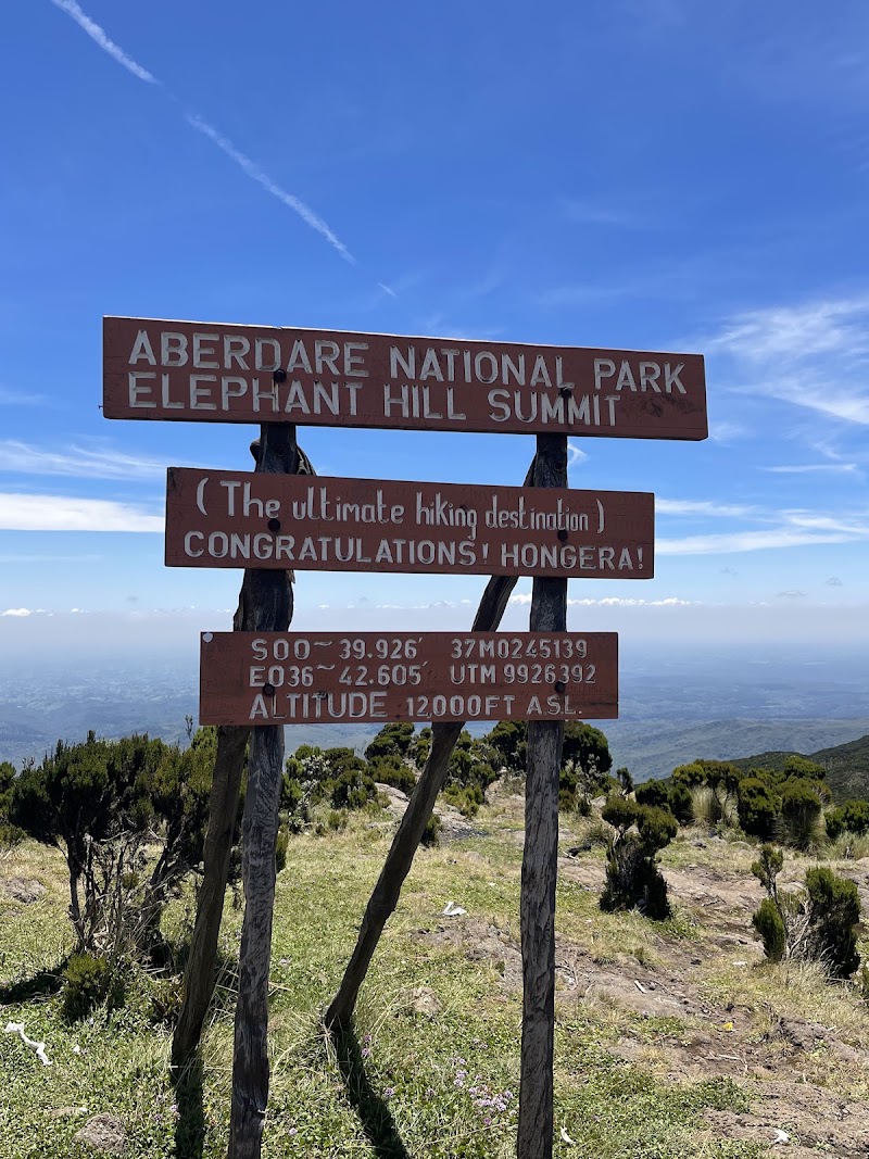 Photo 6 at Aberdare National Park in 
