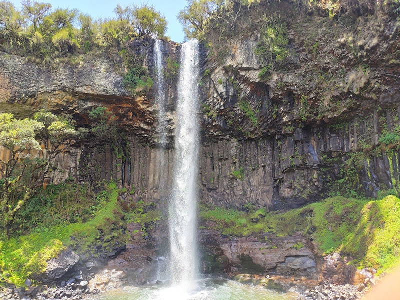 Photo 4 at Aberdare National Park in 
