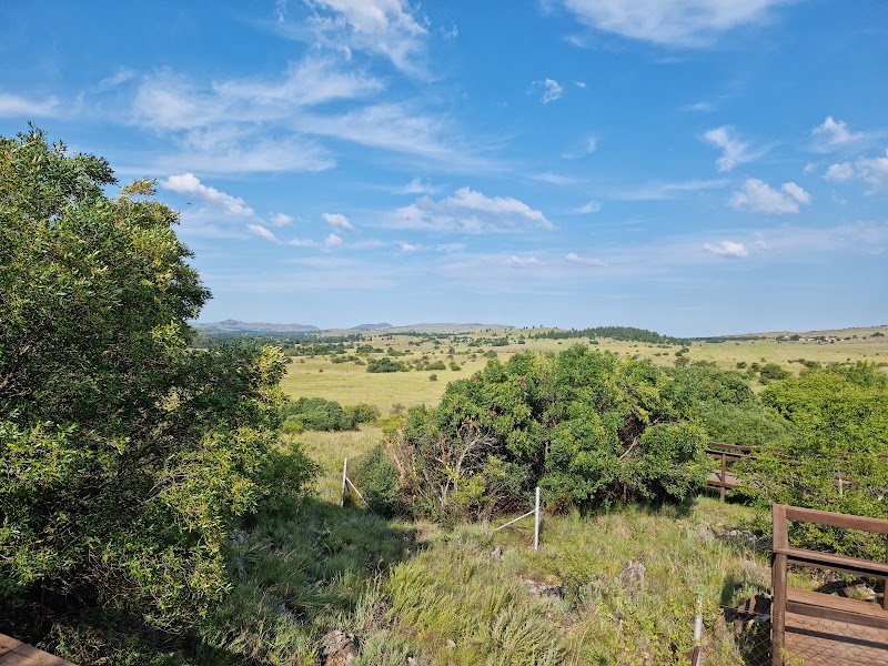 Photo 3 at Sterkfontein Caves in Johannesburg