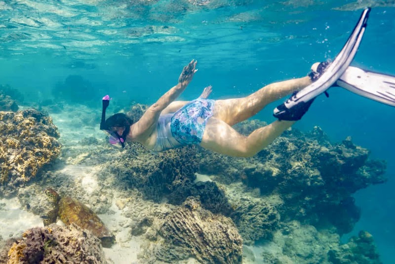 Photo 2 at Snorkel Cook Islands in Takitumu District