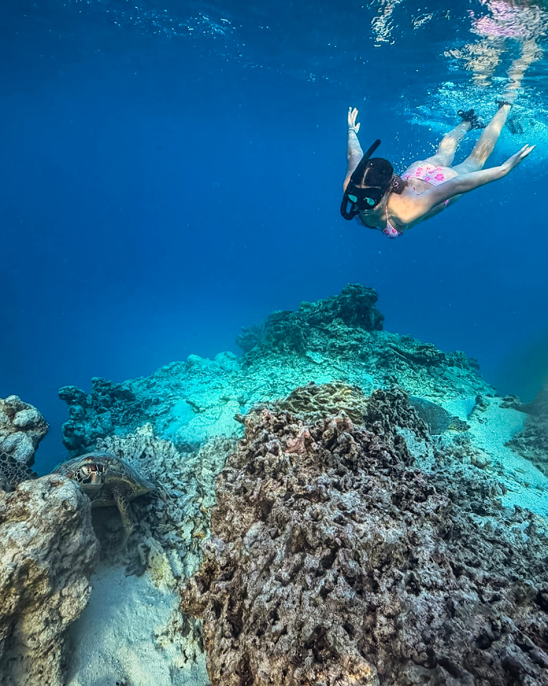 Photo 1 at Snorkel Cook Islands in Takitumu District