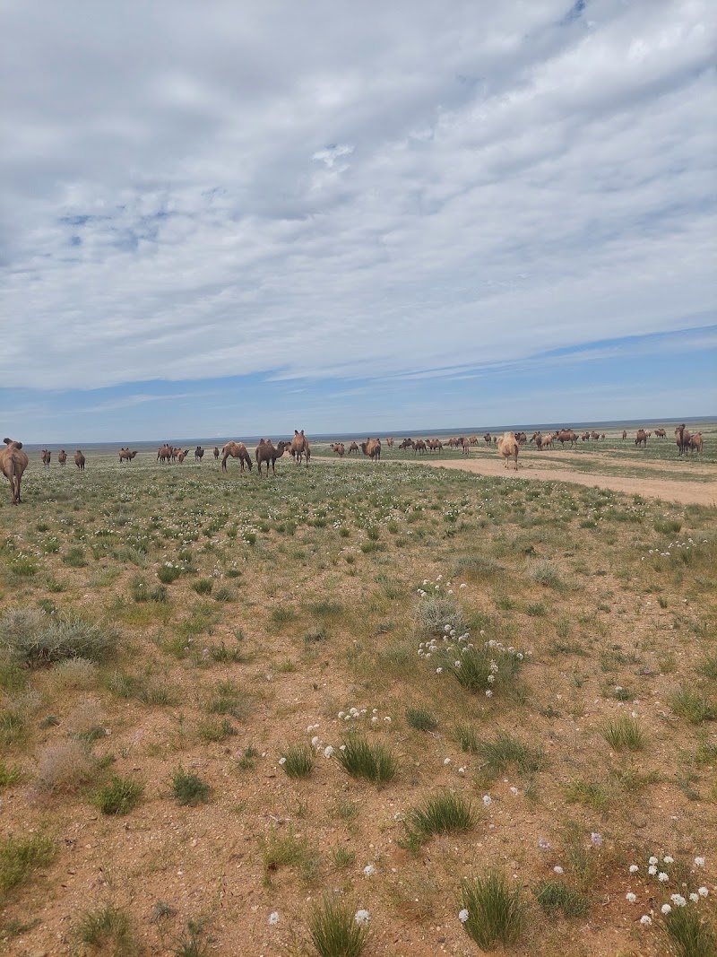 Photo 2 at Tsagaan Suvarga (White Stupa) in 