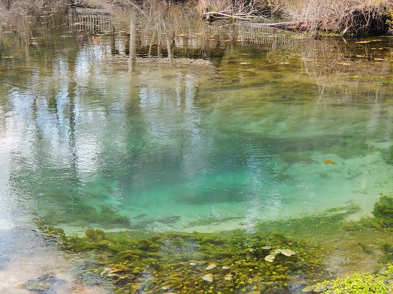 Photo 1 at Magnolia Springs State Park in Millen
