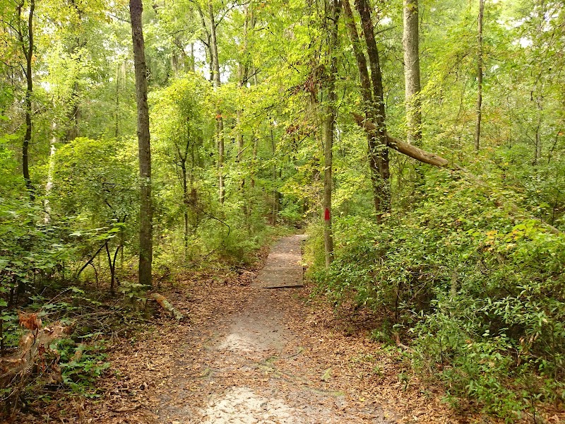 Photo 6 at Magnolia Springs State Park in Millen