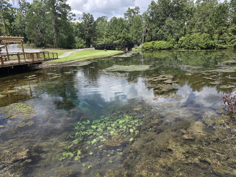 Photo 3 at Magnolia Springs State Park in Millen