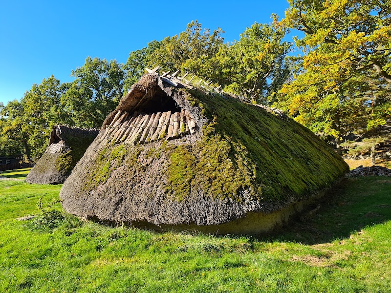 Photo 3 at Rock Carvings in Tanum in Tanum
