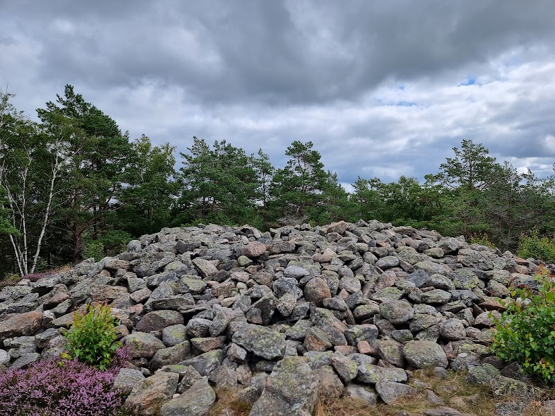 Photo 1 at Rock Carvings in Tanum in Tanum