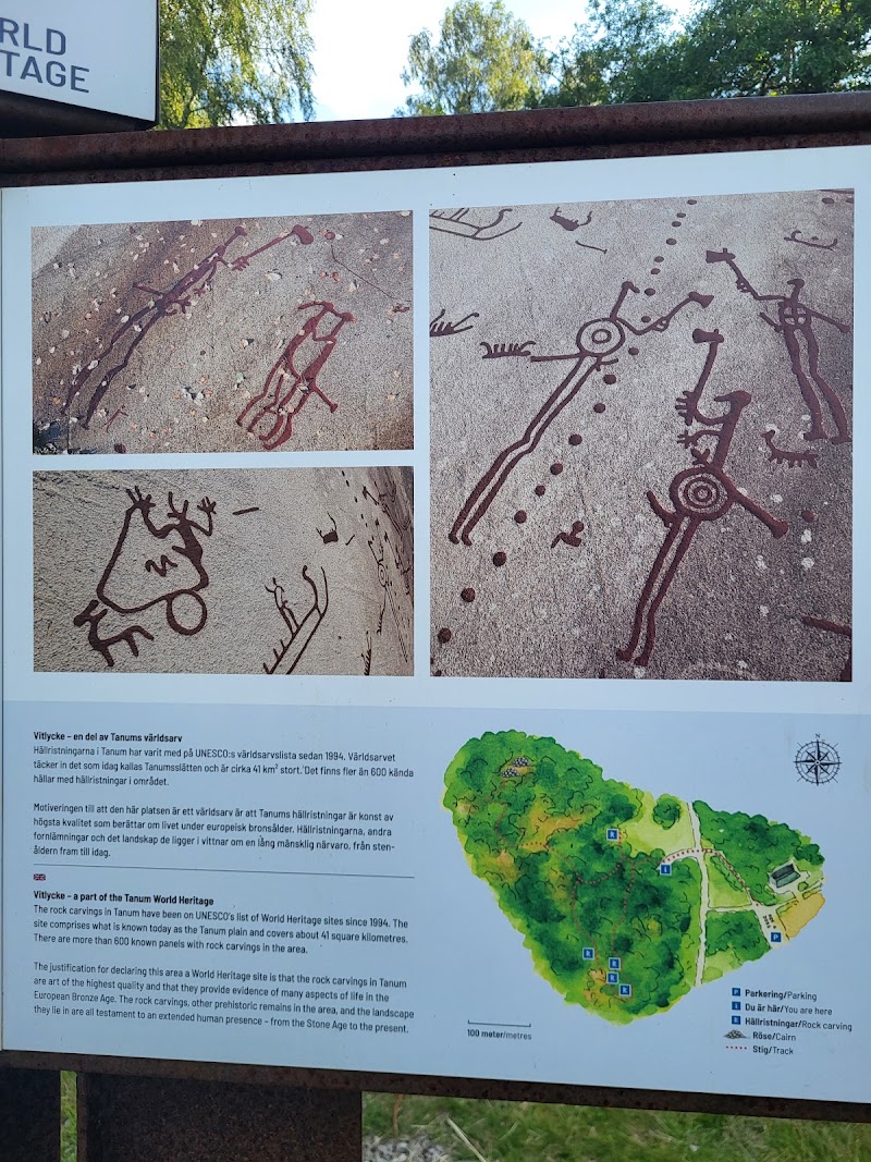 Photo 5 at Rock Carvings in Tanum in Tanum