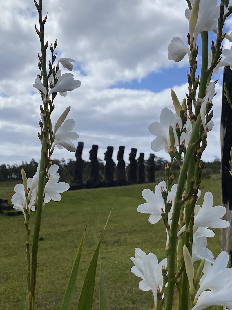 Photo 6 at Ahu Akivi in Easter Island
